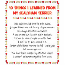 Funny Things I Learned From My Sealyham Terrier Cut Outs