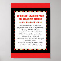 Funny Things I Learned From My Sealyham Terrier Posters