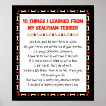 Funny Things I Learned From My Sealyham Terrier Poster
