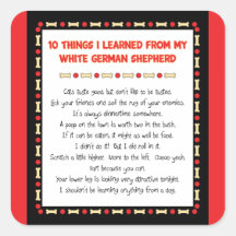 Funny Things I Learned From White German Shepherd Square Sticker