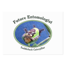 Future Entomologist Bug Business Card Templates