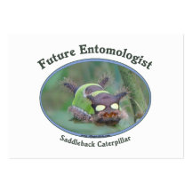 Future Entomologist Caterpillar Business Card