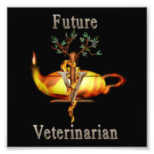 Future Veterinarian Photograph