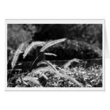 Fuzzy Grass Note Card
