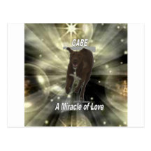 Gabe, A Miracle of Love Postcards