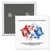 Galactose-1-Phosphate Uridylyltransferase Enzyme Pin