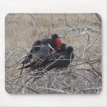 Galapagos Frigate Birds Mouse Pad