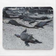 Galapagos Iguanas Mouse Pad