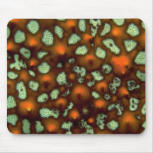 Galapagos starfish skin mouse mats