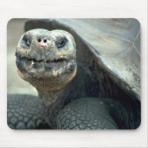 Galapagos Tortoise Mousepad