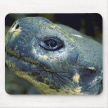 Galapagos Tortoise Mousepads