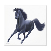 Galloping Black Thoroughbred Horse Wrapped Canvas Gallery Wrapped Canvas