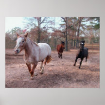 Galloping Horses Posters