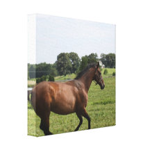 Galloping Thoroughbred  Canvas Print