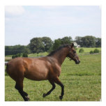 Galloping Thoroughbred  Invitations