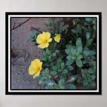 Galveston beach flowers print