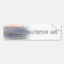 Galveston gal bumper stickers