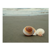 Galveston Island Postcard