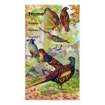 Game Birds Business Card Template