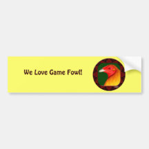 Gamecock Framed Bumper Stickers