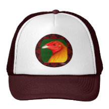 Gamecock Framed Mesh Hat