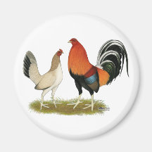 Gamefowl Wheatens Fridge Magnet