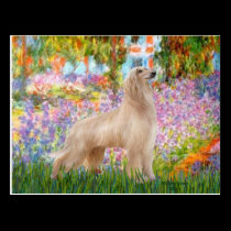 Garden - Afghan Hound (cream stand) postcards