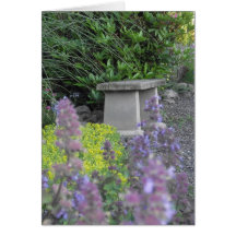 Garden Bench Blank Notecard