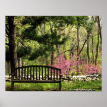 Garden Bench Posters