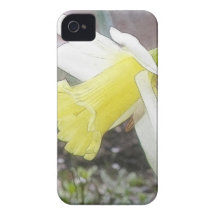 Garden Daffodil In Early Spring iPhone 4 Cover