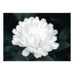 Garden flower invites