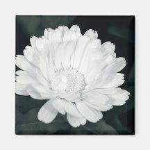 Garden flower magnets