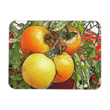 Garden Fresh Heirloom Tomatoes Magnets