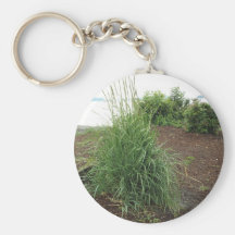 Garden of the Beach Keychain