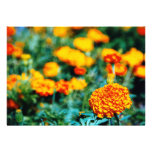 Garden of zinnias custom invitations