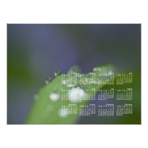 Garden Raindrops; 2013 Calendar Photo Print