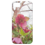 Garden Scene - Hellebores And Old Oak iPhone 5 Case