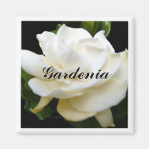 Gardenia Pure Magnet