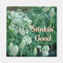garlic chive magnet-customise