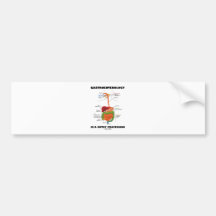 Gastroenterology Is A Gutsy Profession Bumper Sticker