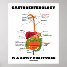 Gastroenterology Is A Gutsy Profession Poster