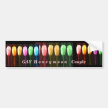 Gay Honeymmon Couple Bumper Stickers