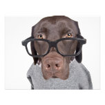 Geeky Dawg Invitations