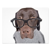 Geeky Dawg Invitations