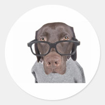Geeky Dawg Round Stickers