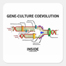 Gene-Culture Coevolution Inside (DNA Replication) Square Sticker