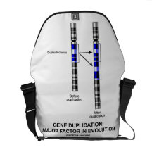 Gene Duplication: Major Factor In Evolution Messenger Bags