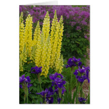 General Birthday Flower Greeting Cards