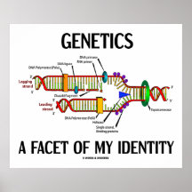 Genetics A Facet Of My Identity (DNA Replication) Posters