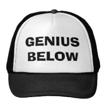 GENIUS BELOW TRUCKER HATS